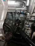 IMG_20211122_183748.jpg